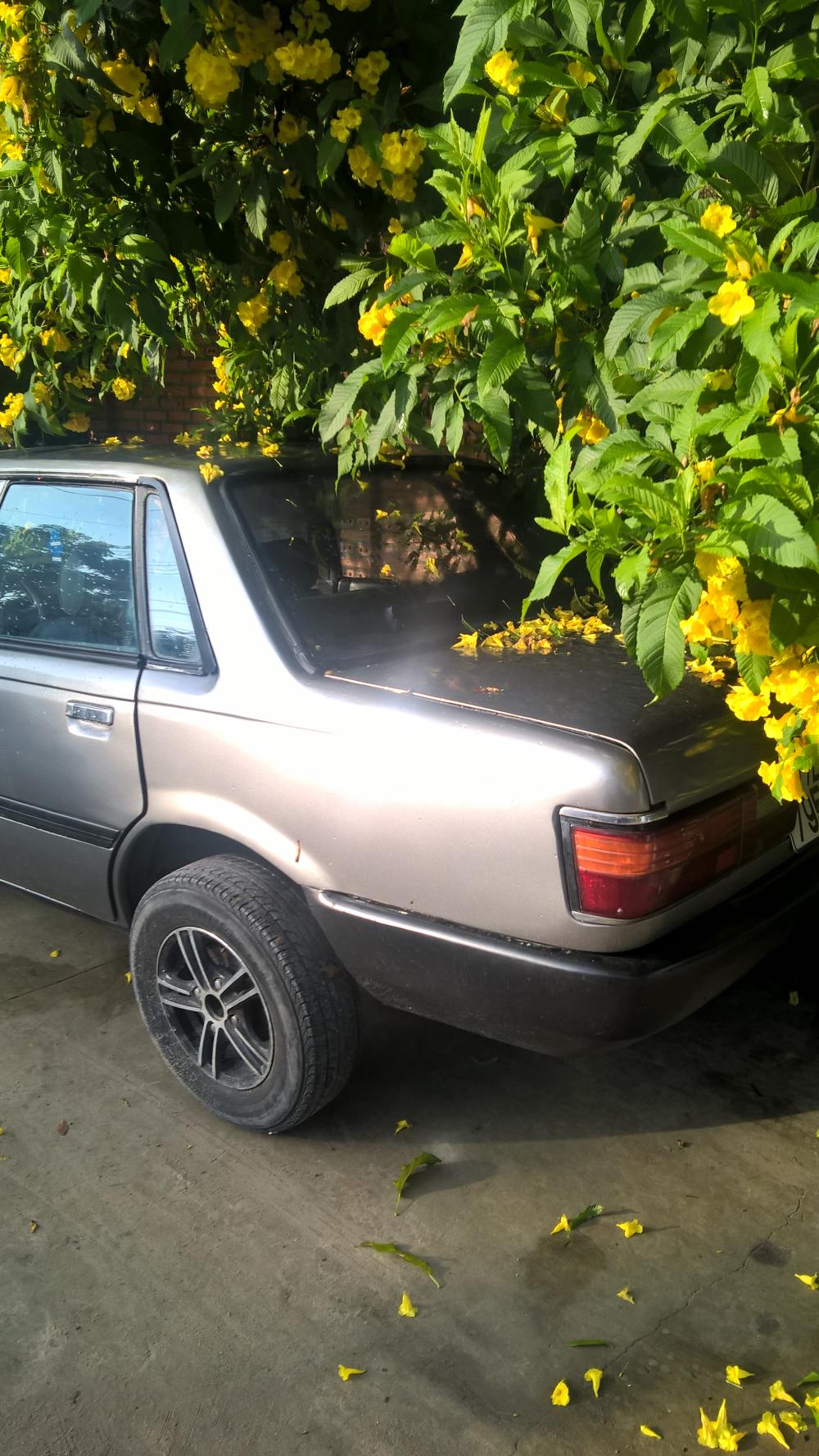 Toyota Supra XLE 1983 - Cần bán lại xe Toyota Supra XLE 1983, màu xám, nhập khẩu chính hãng xe gia đình