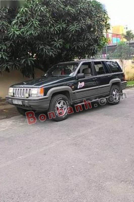 Jeep Grand Cheroke 1994 - Bán Jeep Grand Cheroke đời 1994, màu xanh lục, nhập khẩu nguyên chiếc số sàn, 225 triệu