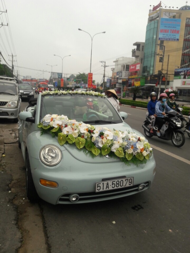 Volkswagen New Beetle 2004 - Cần bán xe Volkswagen New Beetle đời 2004, màu xanh lam, nhập khẩu nguyên chiếc