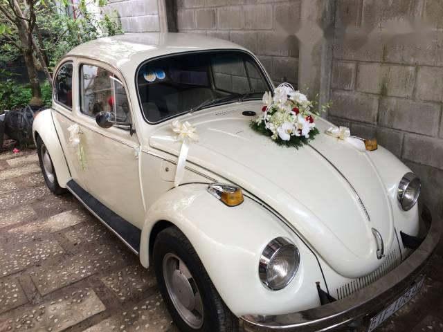 Volkswagen Beetle 1980 - Bán Volkswagen Beetle sản xuất 1980, màu trắng