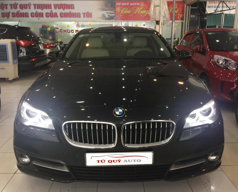BMW 1 5 520i 2.0AT  2016 - Bán ô tô BMW 1 5 520i 2.0AT 206 đời 2016, màu đen, nhập khẩu chính hãng