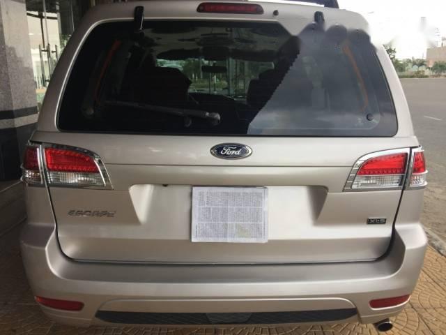 Ford Escape   2010 - Bán xe Ford Escape 2010, số tự động, 480tr