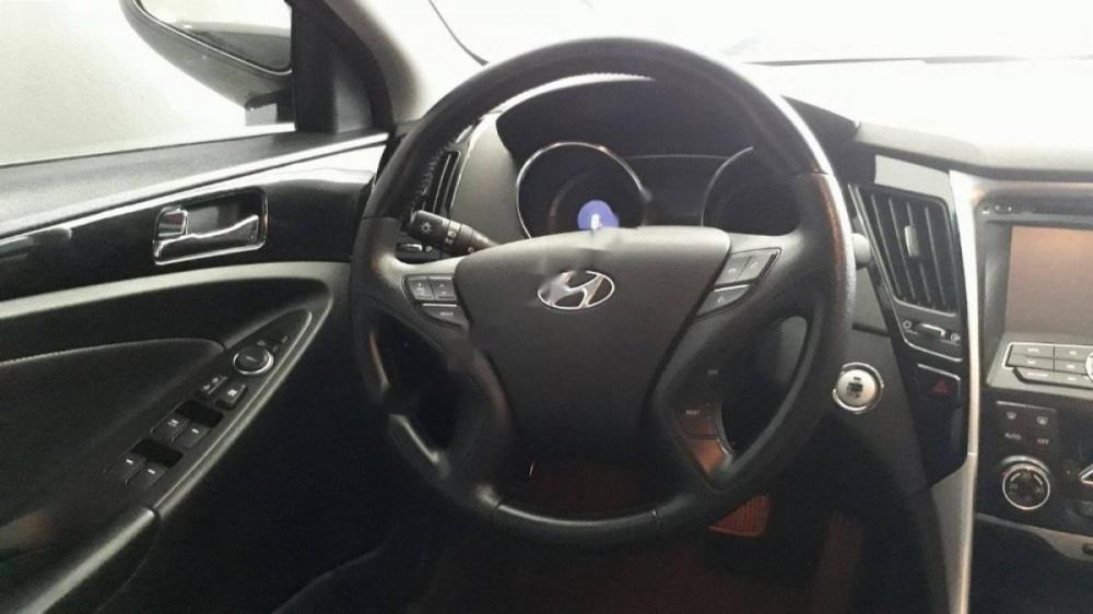 Hyundai Sonata Y20 2009 - Bán ô tô Hyundai Sonata Y20 đời 2009, màu xám, nhập khẩu nguyên chiếc chính chủ, giá tốt