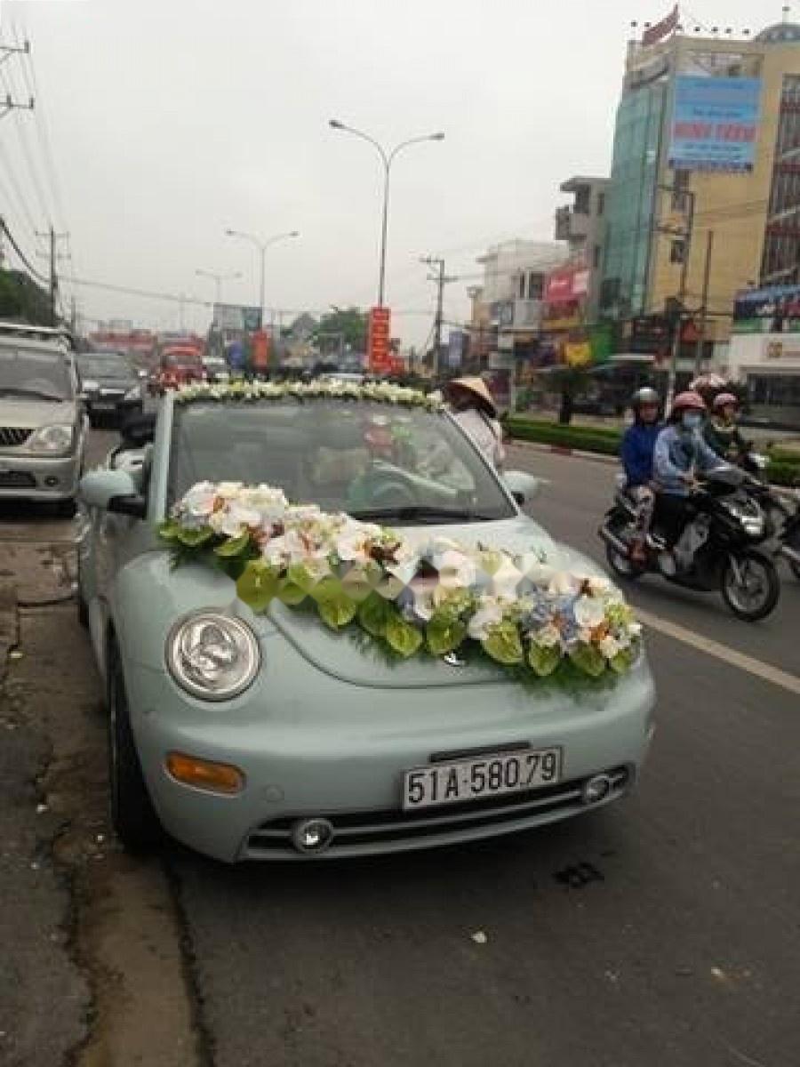 Volkswagen New Beetle 2004 - Cần bán Volkswagen New Beetle đời 2004, màu xanh lam, xe nhập giá cạnh tranh