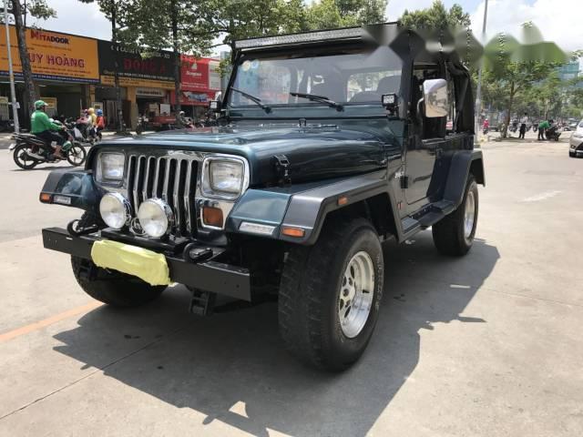 Jeep Wrangler 1995 - Bán xe Jeep Wrangler đời 1995, xe nhập số sàn giá cạnh tranh