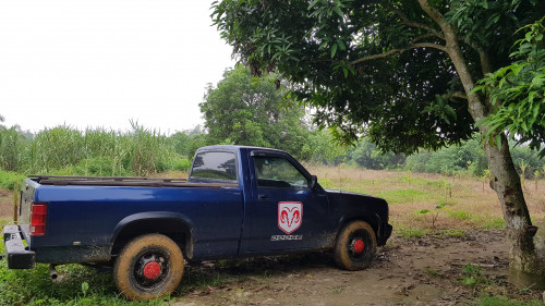 Dodge Dakota   2.5 MT  1996 - Cần bán xe Dodge Dakota 2.5 MT sản xuất 1996, 95tr