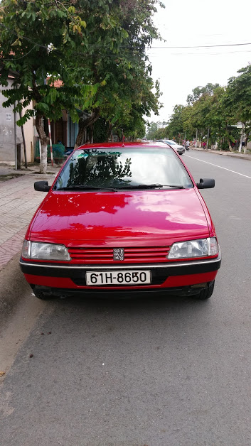 Peugeot 405 GL 1989 - Bán xe Peugeot 405 GL