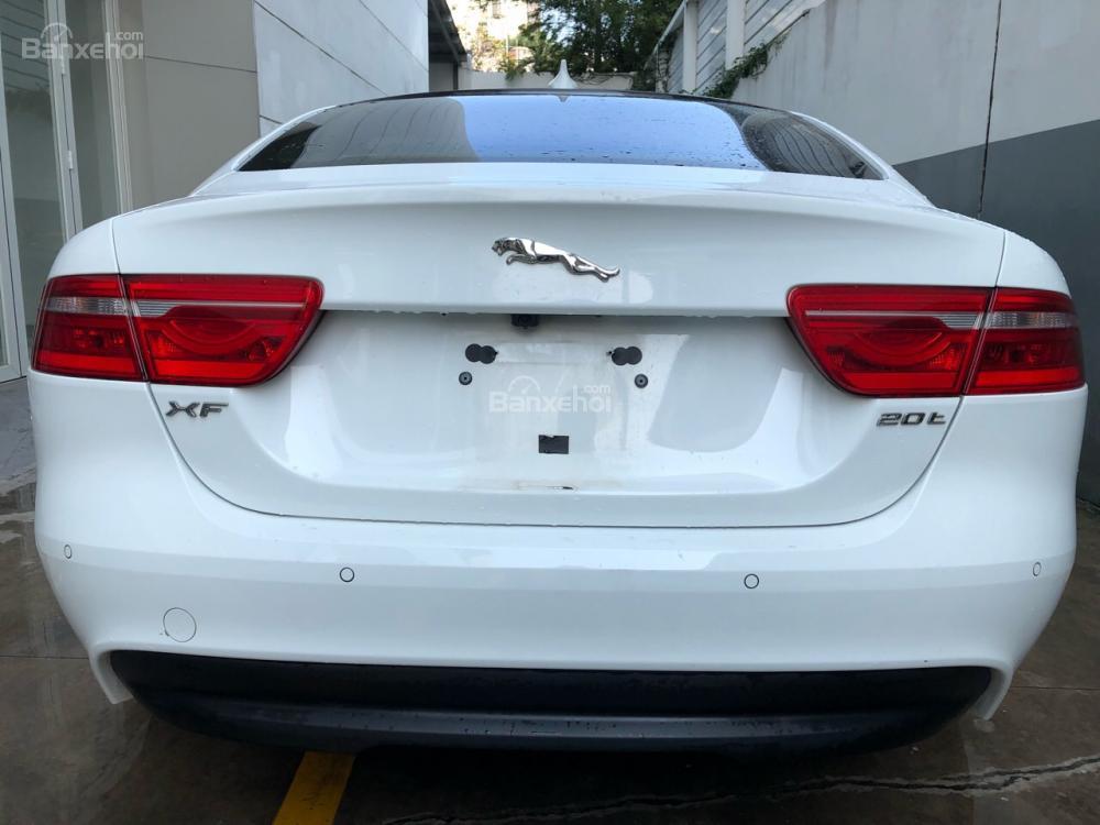 Jaguar 2015 - Cần bán xe Jaguar XE Prestige đời 2016, màu trắng, xe còn bảo hành, gọi 0932222253