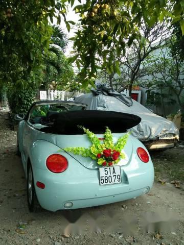 Volkswagen Beetle 2007 - Cần bán xe Volkswagen Beetle đời 2007, nhập khẩu  