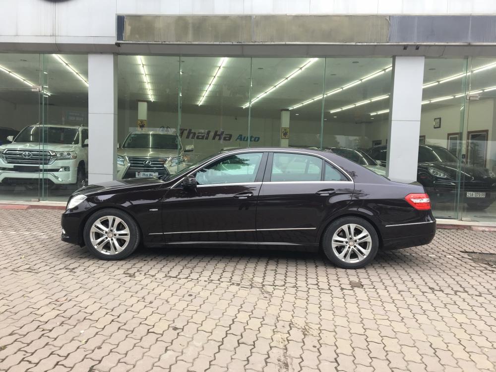 Mercedes-Benz E class E250 AT 2010 - Cần bán Mercedes E250 năm 2010, màu nâu