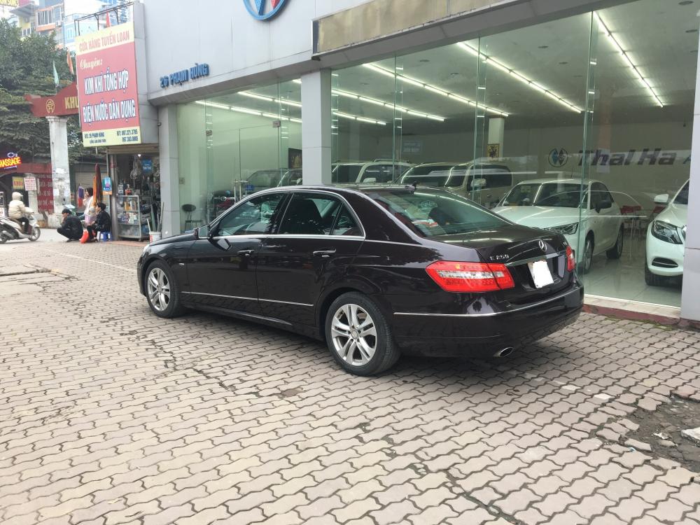 Mercedes-Benz E class E250 AT 2010 - Cần bán Mercedes E250 năm 2010, màu nâu