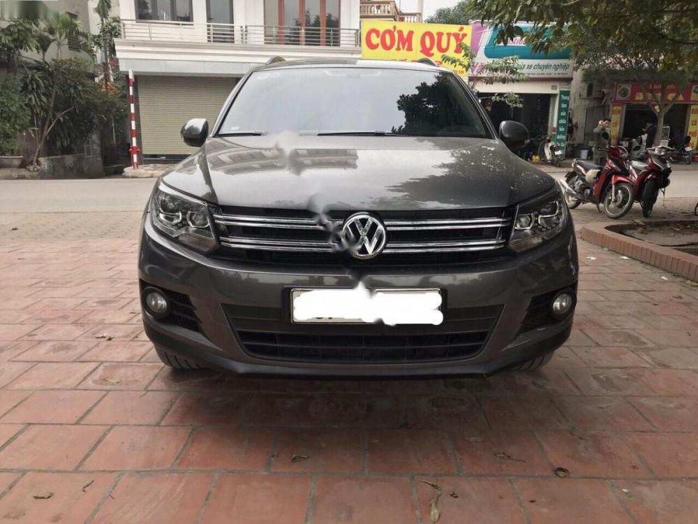 Volkswagen Tiguan 2.0TSI 2014 - Cần bán Volkswagen Tiguan 2.0TSI 2014, màu xám, nhập khẩu, 850 triệu