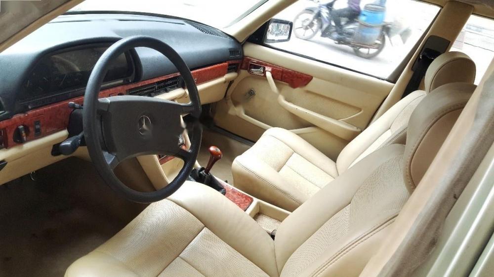 Mercedes-Benz E class E280 MT  1986 - Bán Mercedes E280 MT đời 1986, nhập khẩu nguyên chiếc, giá 125tr