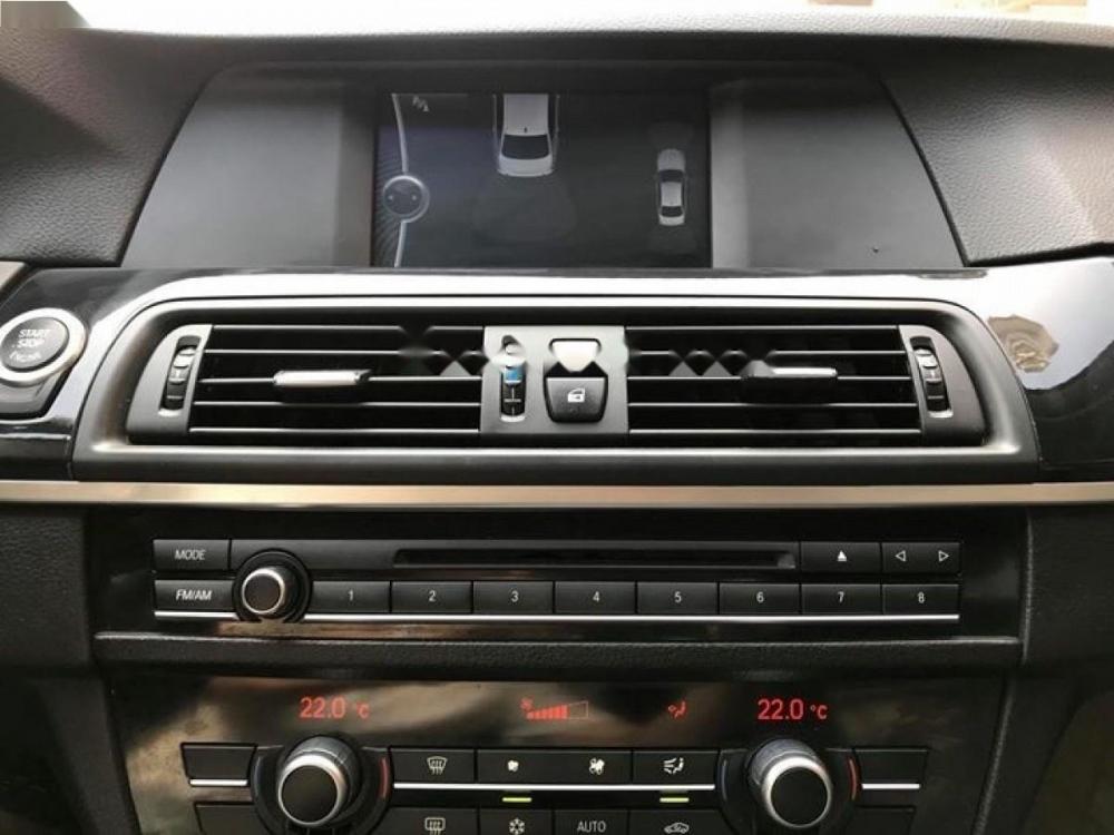 BMW 5 Series 523i 2010 - Bán BMW 5 Series 523i sản xuất 2010, màu trắng, nhập khẩu nguyên chiếc giá cạnh tranh