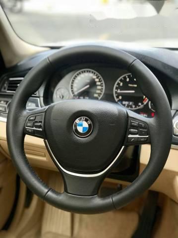 BMW 5 Series  528i 2013 - Cần bán gấp BMW 5 Series 528i năm 2013, nhập khẩu nguyên chiếc
