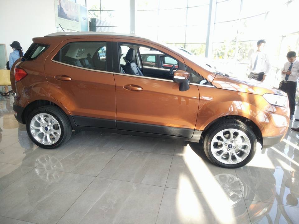 Ford EcoSport 1.0 Ecoboost  2018 - Bán ô tô Ford EcoSport 1.0 Ecoboost đời 2018, màu nâu, xe nhập