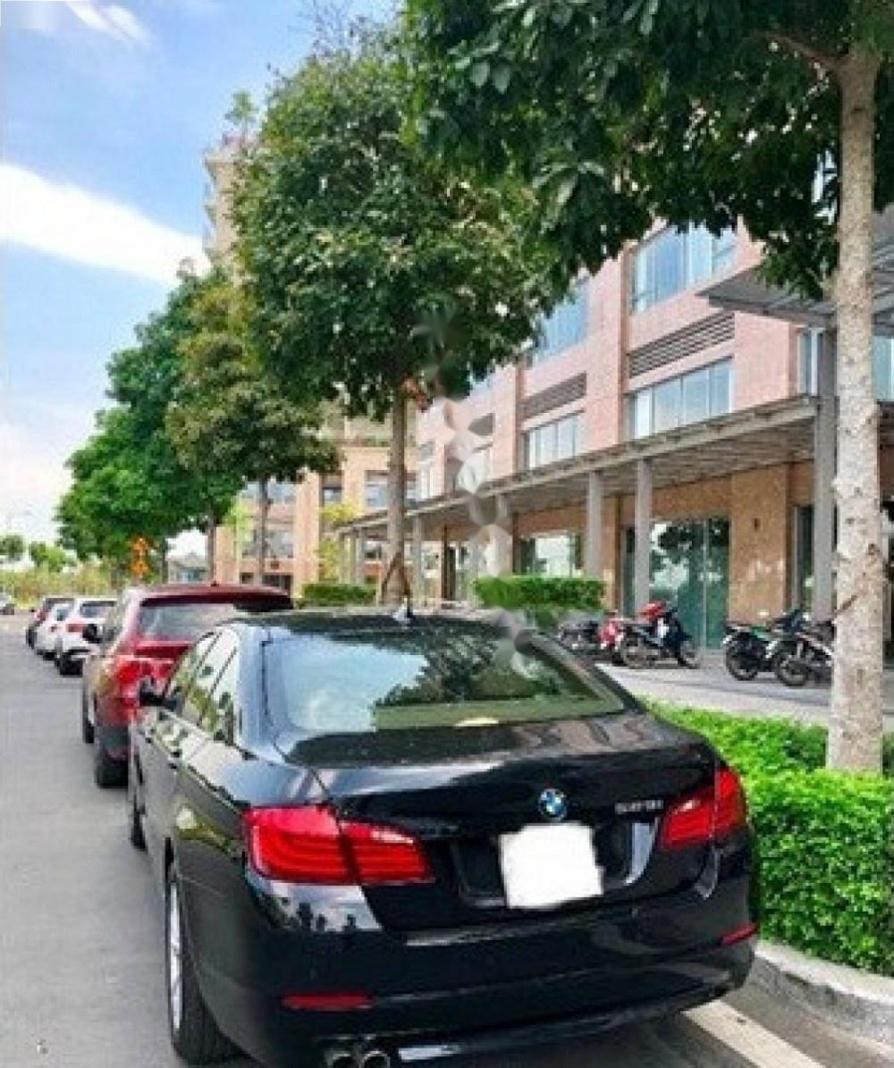 BMW 5 Series 523i 2010 - Bán BMW 5 Series 523i SX 2010, màu đen, nhập khẩu