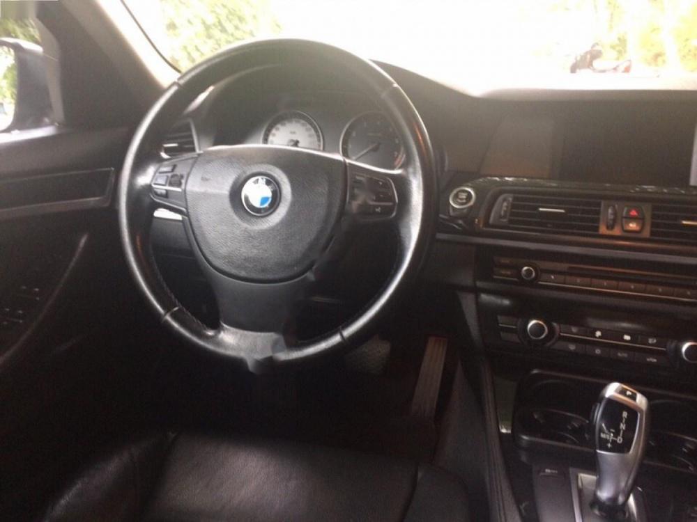 BMW 5 Series 523i 2010 - Bán xe BMW 5 Series 523i SX 2010, màu xám, xe nhập