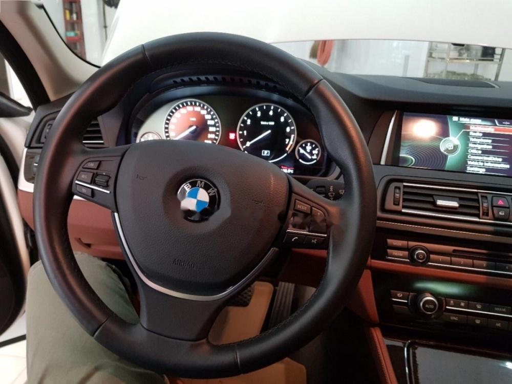 BMW 5 Series 528i 2015 - Bán BMW 5 Series 528i đời 2015, màu trắng, xe nhập