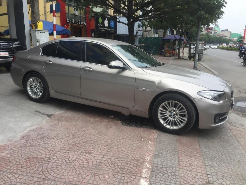 BMW 5 Series 520i 2014 - Bán BMW 5 Series 520i sản xuất năm 2014, màu vàng, nhập khẩu