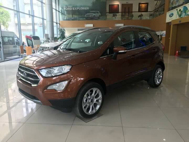 Ford EcoSport Ecoboost 1.0 AT 2018 - Bán Ford EcoSport Ecoboost đời 2018, màu nâu tại Cao Bằng