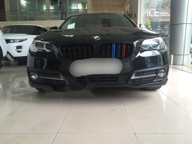 BMW 5 Series  520i 2015 - Bán BMW 5 Series 520i 2015, màu xanh cực độc đáo