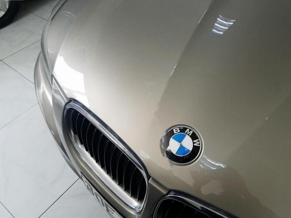 BMW 3 Series 320i 2010 - Chính chủ bán BMW 3 Series 320i sản xuất 2010, màu vàng, nhập khẩu