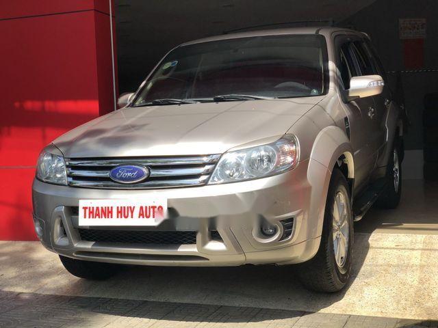 Ford Escape   XLT  2008 - Cần bán xe cũ Ford Escape XLT 2008