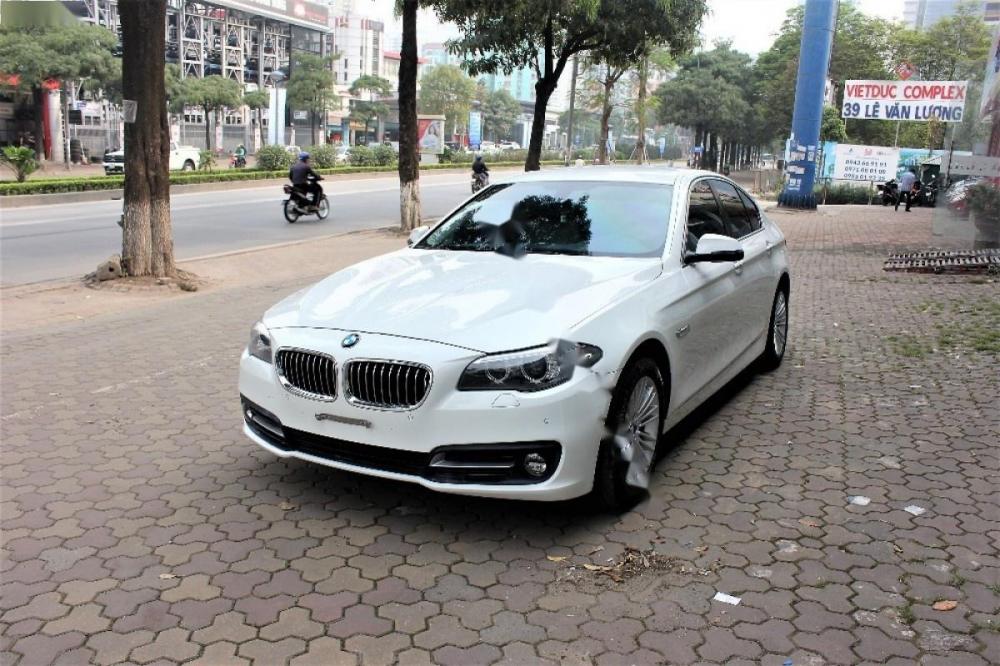 BMW 5 Series 520i 2015 - Bán BMW 5 Series 520i sản xuất năm 2015, màu trắng, nhập khẩu