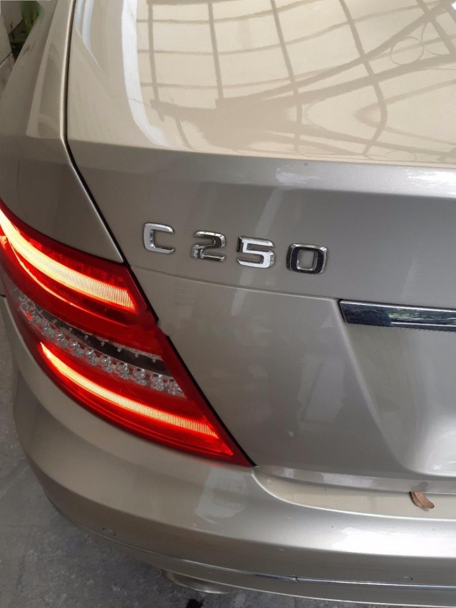 Mercedes-Benz C class C250 Blue 1.8 2012 - Bán Mercedes C250 Blue 1.8 2012, màu xám, nhập khẩu 