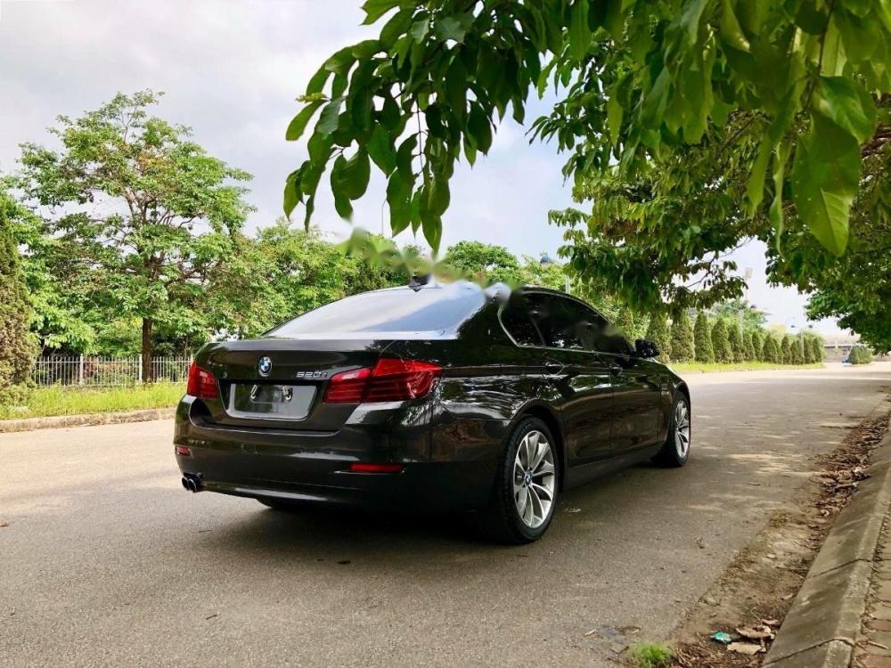 BMW 5 Series 520i 2014 - Cần bán xe BMW 5 Series 520i 2014, màu nâu, xe nhập