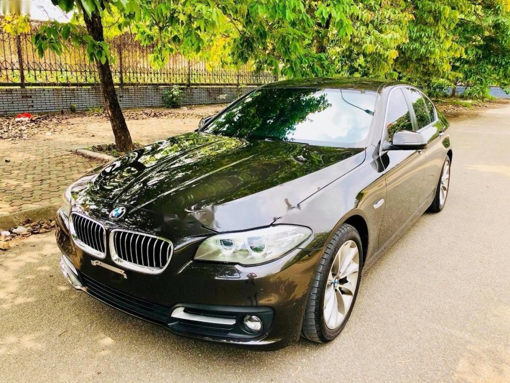 BMW 5 Series 520i 2014 - Cần bán xe BMW 5 Series 520i 2014, màu nâu, xe nhập