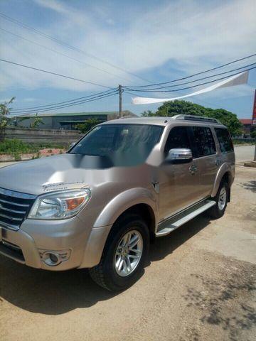 Ford Everest   2009 - Bán Ford Everest năm sản xuất 2009, màu ghi vàng 