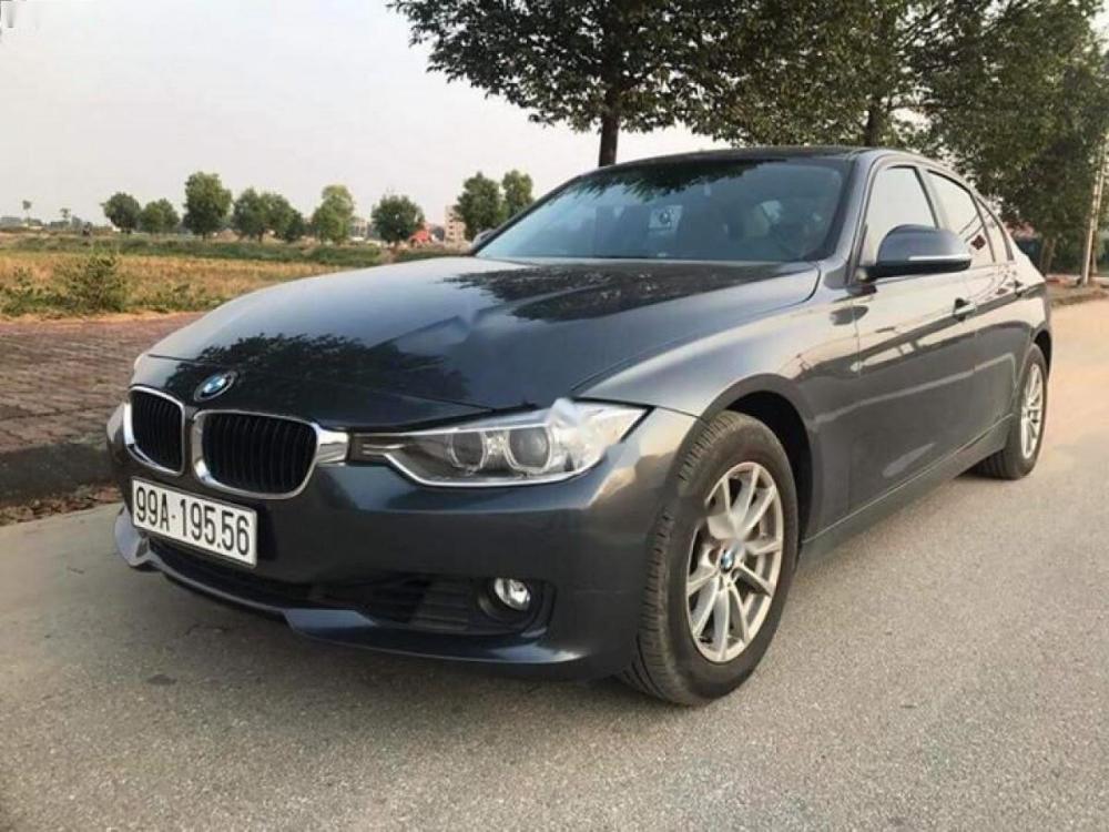 BMW 3 Series 320i 2012 - Bán BMW 3 Series 320i sản xuất 2012, màu xám, nhập khẩu