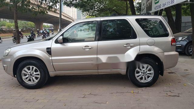 Ford Escape 2008 - Bán xe Ford Escape 2008, màu vàng cát