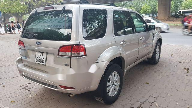 Ford Escape 2008 - Bán xe Ford Escape 2008, màu vàng cát