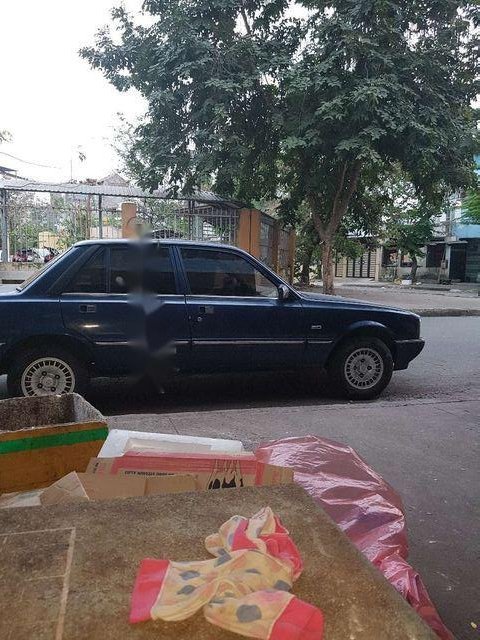 Peugeot 505 1986 - Bán Peugeot 505 năm sản xuất 1986, 55 triệu