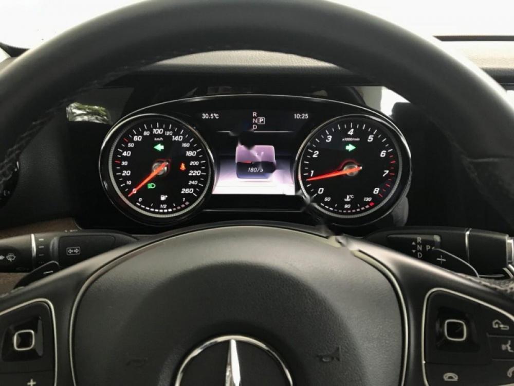 Mercedes-Benz E class E200 2016 - Bán xe Mercedes E200 sản xuất năm 2016, màu bạc