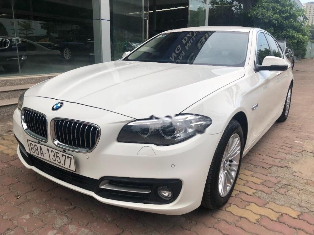 BMW 5 Series 520i 2016 - Cần bán lại xe BMW 5 Series 520i đời 2016, màu trắng, nhập khẩu