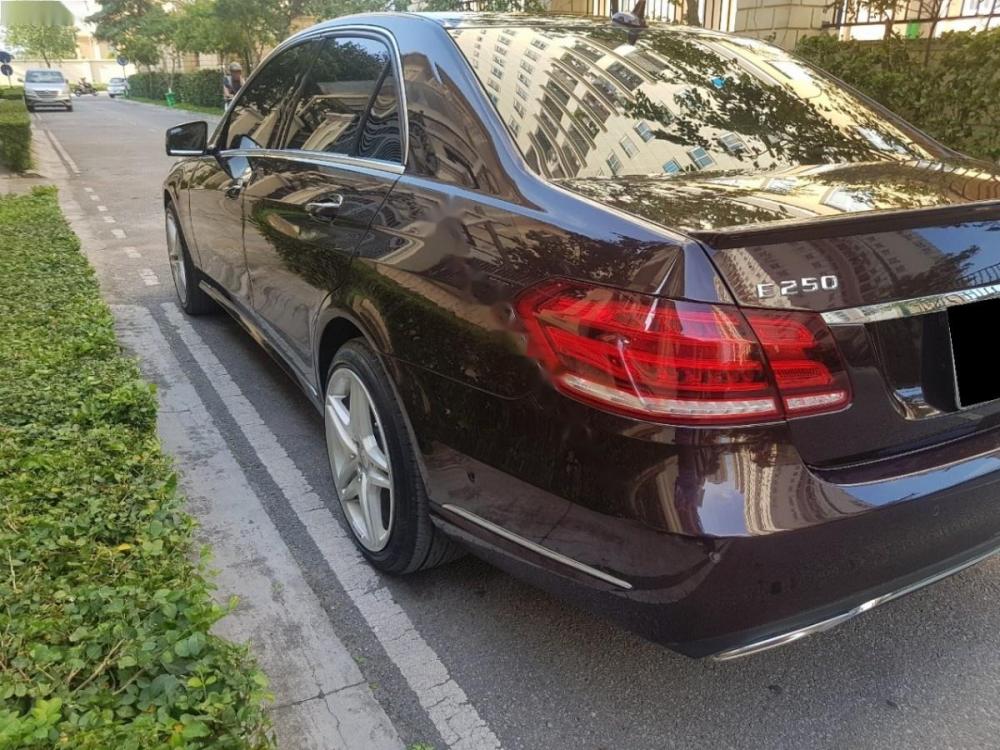 Mercedes-Benz E class E250 2014 - Cần bán xe Mercedes E250 sản xuất 2014, màu nâu