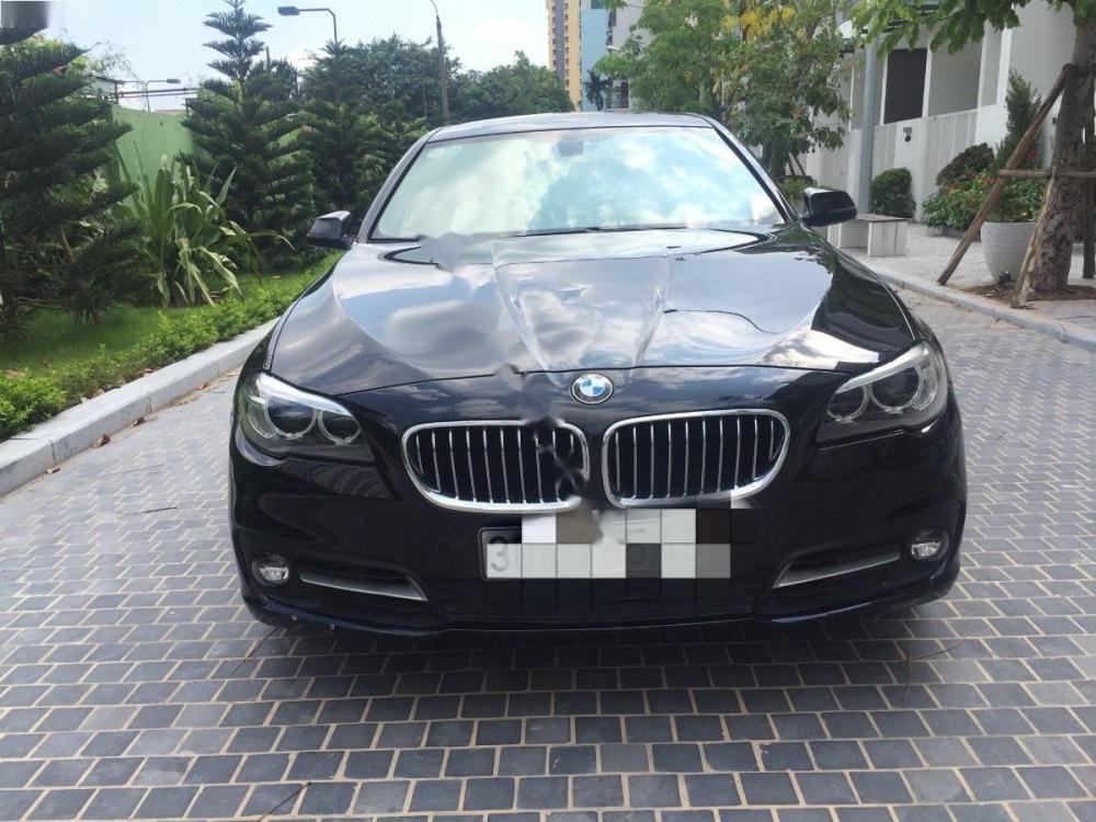 BMW 5 Series 520i 2015 - Bán ô tô BMW 5 Series 520i năm 2015, màu đen, xe nhập