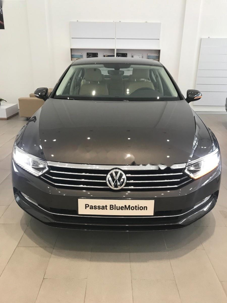 Volkswagen Passat 1.8 Bluemotion 2018 - Bán xe Volkswagen Passat 1.8 Bluemotion sản xuất 2018, màu xám, nhập khẩu