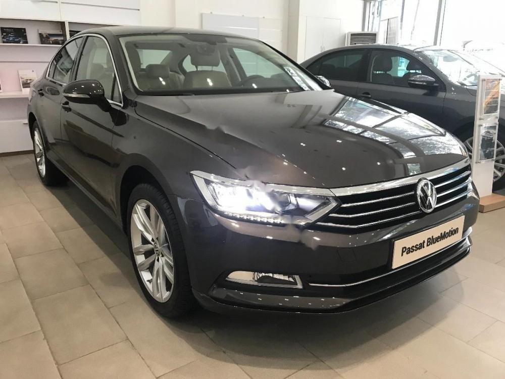 Volkswagen Passat 1.8 Bluemotion 2018 - Bán xe Volkswagen Passat 1.8 Bluemotion sản xuất 2018, màu xám, nhập khẩu