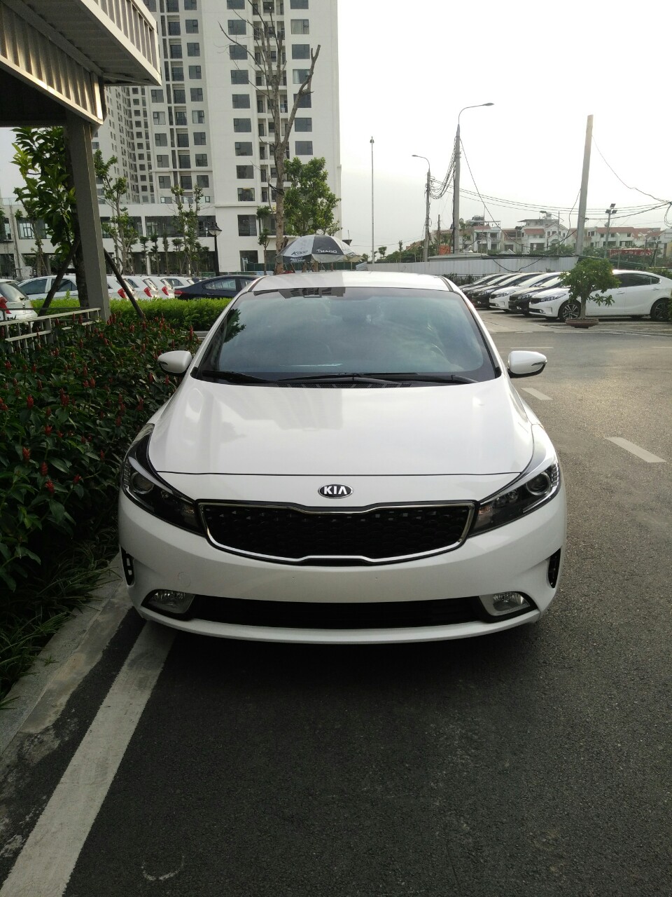 Kia Cerato 1.6 MT 2018 - Kia Phạm văn Đồng - Cerato 1.6 MT 2018 chỉ 529 triệu, miễn phí bảo dưỡng 1000km và 5000km, lh Mr Đức Anh 0977.051.536