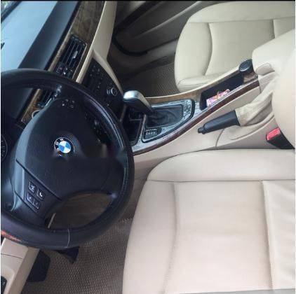 BMW 3 Series 320i  2009 - Bán ô tô BMW 3 Series 320i đời 2009, màu ghi vàng