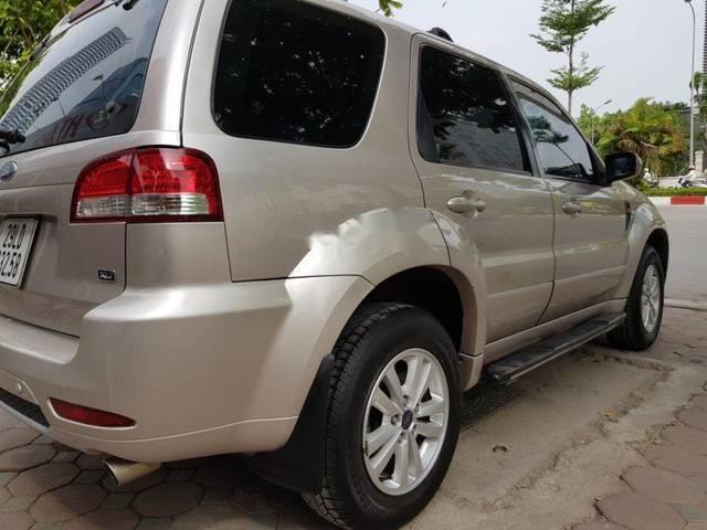 Ford Escape 2010 - Bán ô tô Ford Escape năm sản xuất 2010 số tự động, giá 420tr