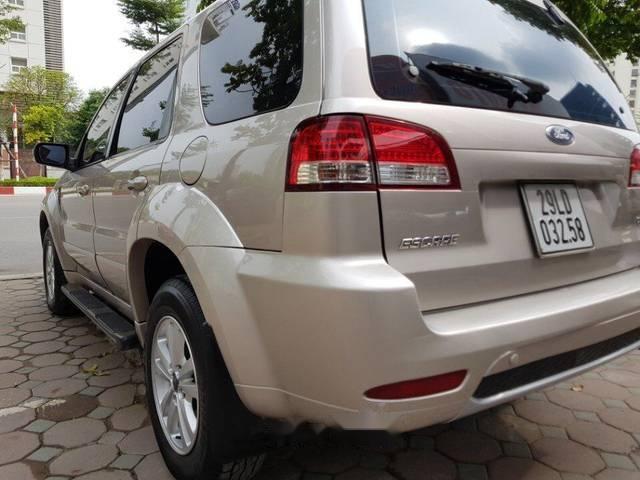 Ford Escape 2010 - Bán ô tô Ford Escape năm sản xuất 2010 số tự động, giá 420tr