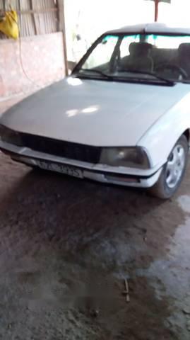 Peugeot 505   1985 - Bán Peugeot 505 sản xuất năm 1985, màu trắng