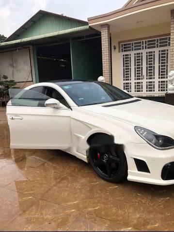 Mercedes-Benz CLS class CLS350 2004 - Bán xe Mercedes CLS350 đời 2004, màu trắng, giá 560tr