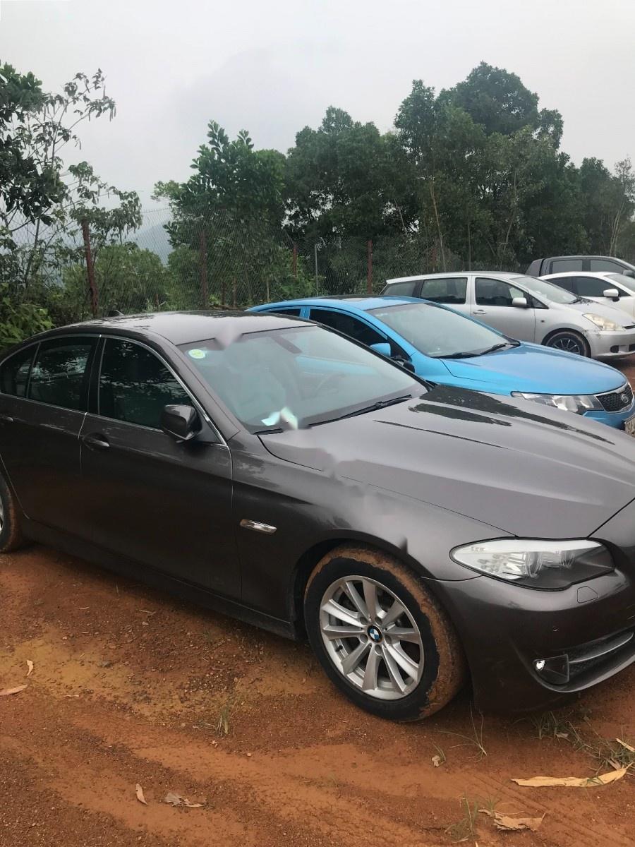 BMW 5 Series 523i 2010 - Cần bán BMW 5 Series 523i đời 2010, màu nâu 